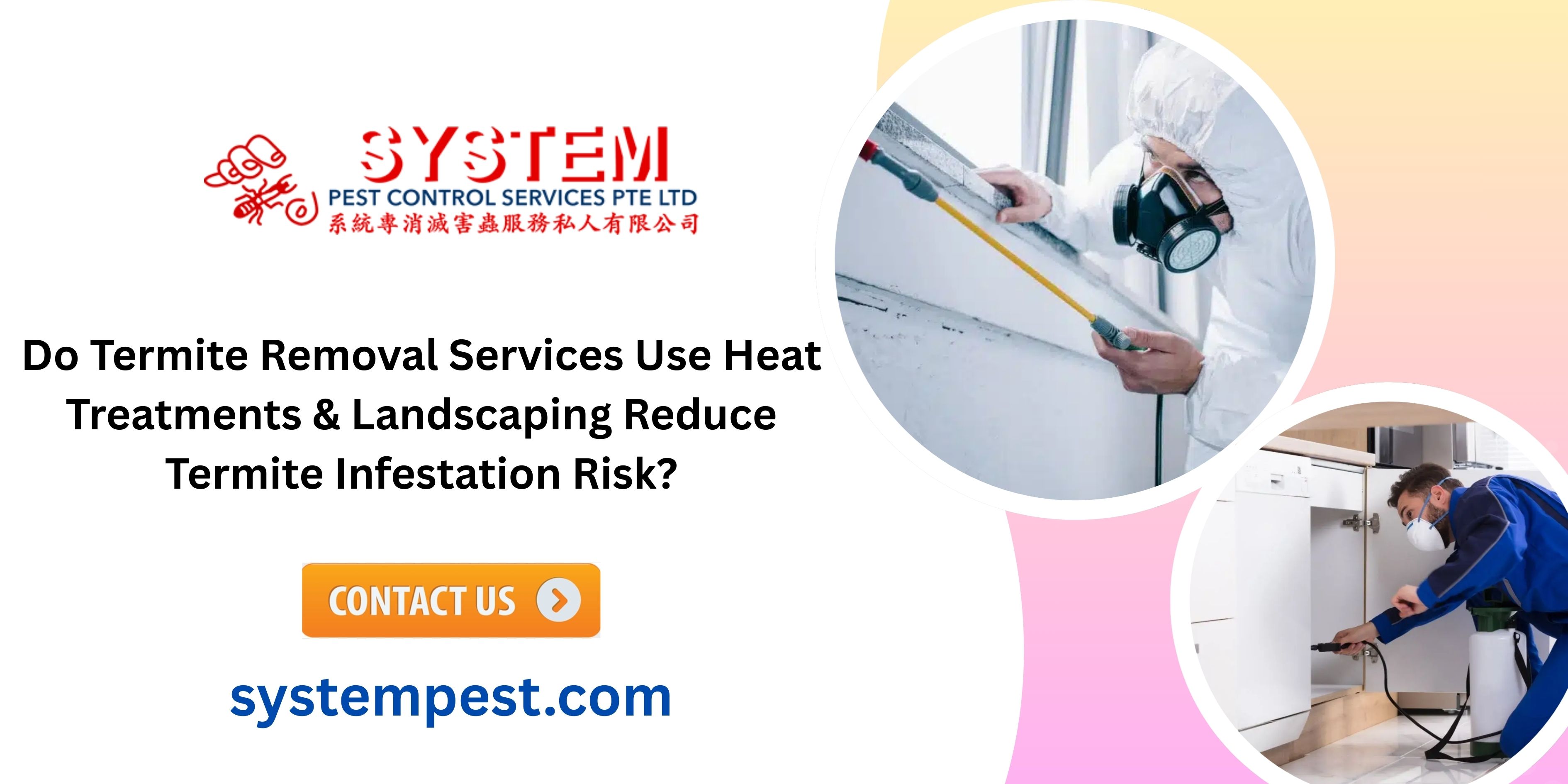 Do Termite Removal Services Use Heat Treatments & Landscaping Reduce Termite Infestation Risk?